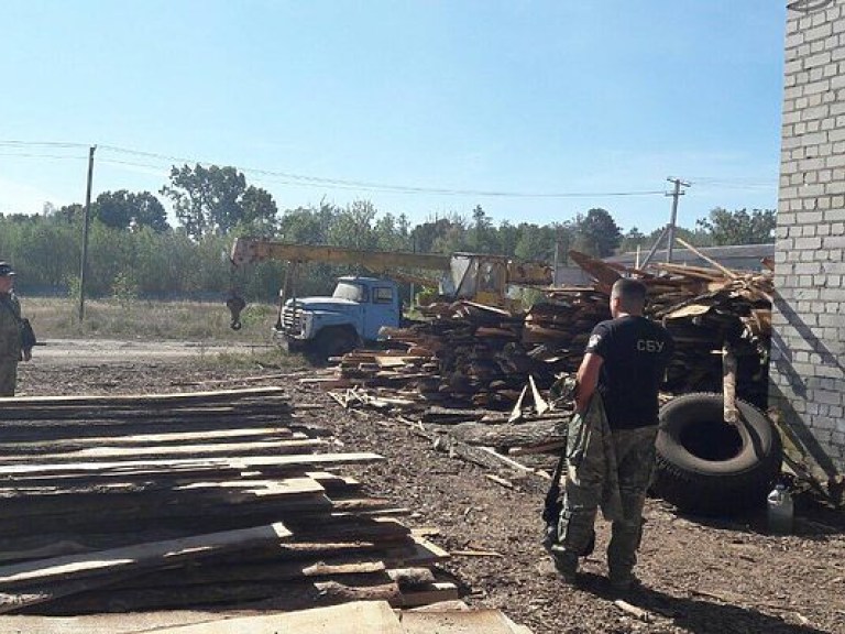 Незаконную пилораму разоблачили в Житомирской области (ФОТО)