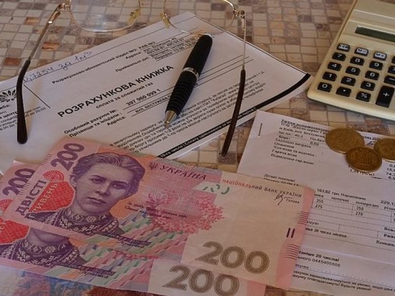 В 2017 году украинцы не смогут получать субсидии автоматически, свою неплатежеспособность придется доказывать &#8212; экономист