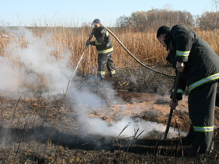 В пяти областях Украины зафиксированы возгорания торфяников &#8212; ГСЧС
