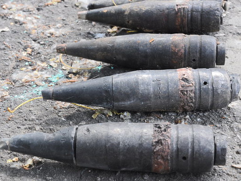 В Киеве в лесу нашли 58 взрывоопасных предметов