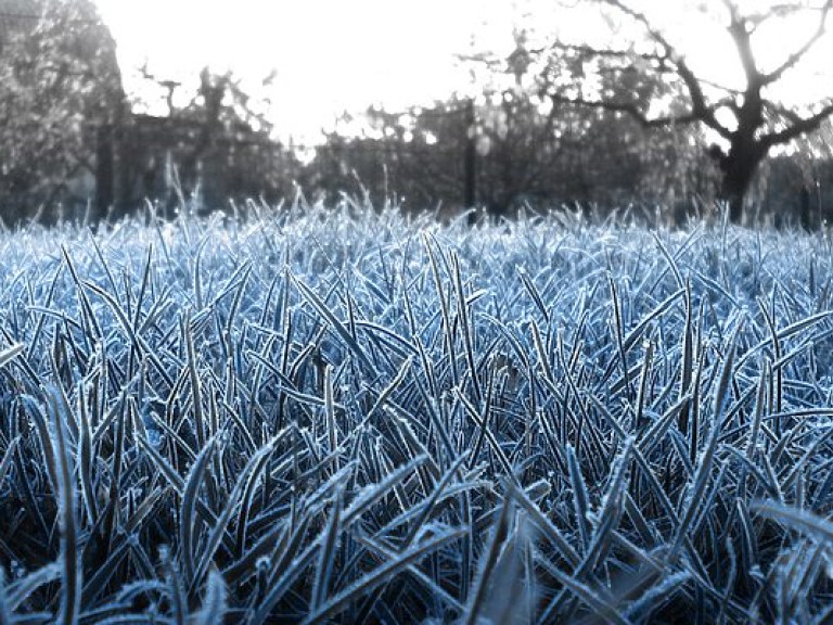 Синоптики предупредили о заморозках в 12 областях Украины