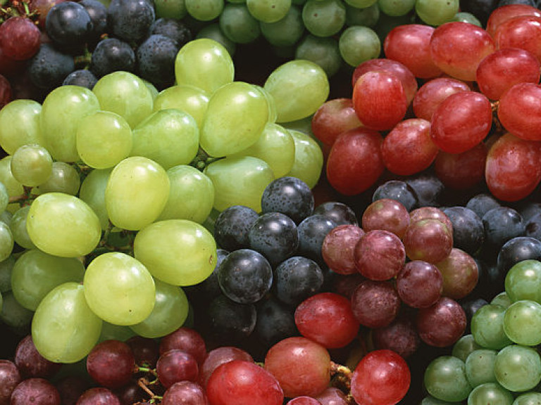 Эксперт рассказал, как сохранить до весны свежие гроздья дачного винограда