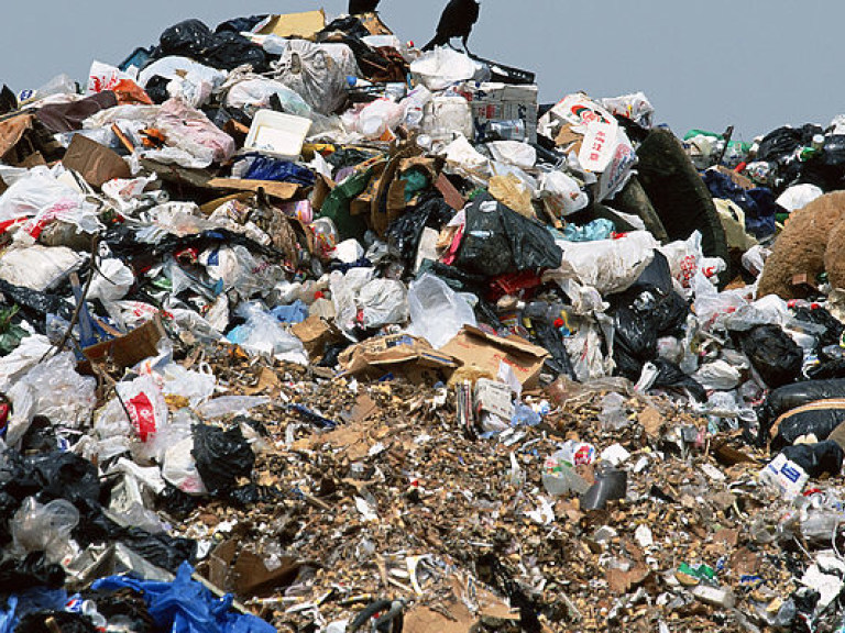 В Винницкую область  нелегально свозят львовский мусор