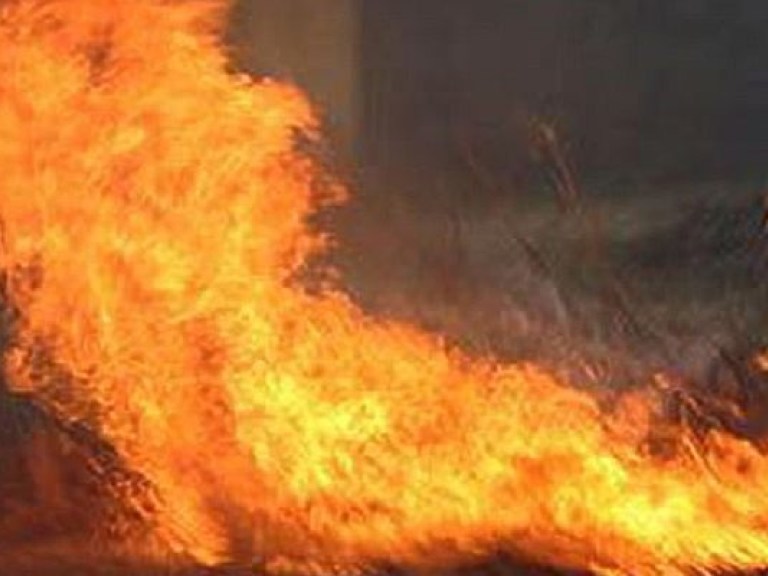 За сутки в Украине зафиксирован 221 пожар