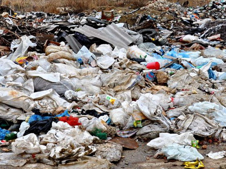 Чиновники из Житомирщины нашли мусор со Львова на областной дороге (ФОТО)