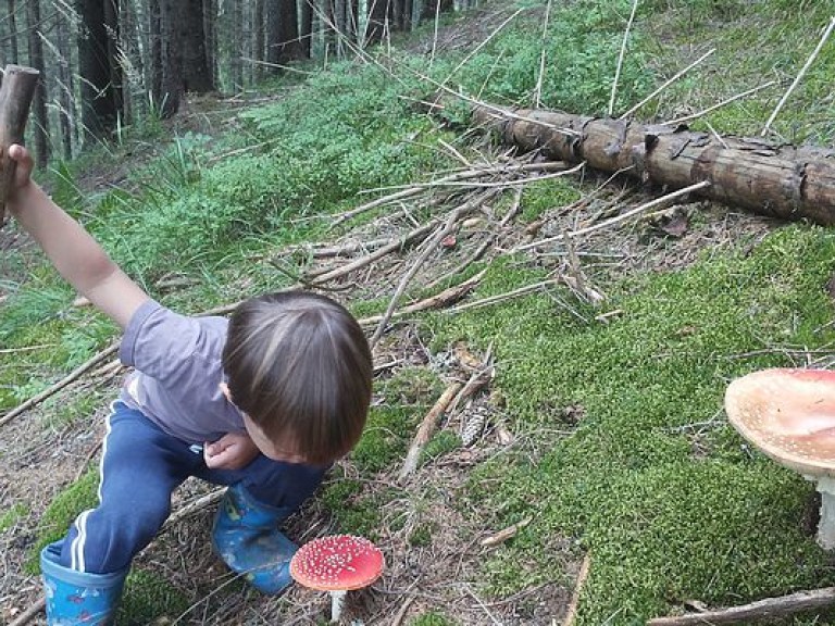 Врач рассказала, как распознать отравление грибами