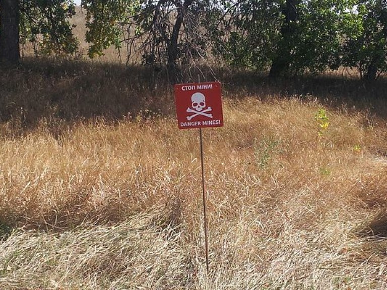 Украина обратилась в ООН за помощью в разминировании Донбасса