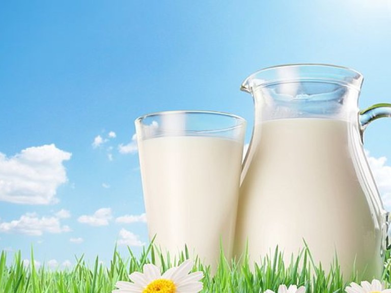 Цены на «молочку» в Украине вырастут до конца года на 15% &#8212; эксперт
