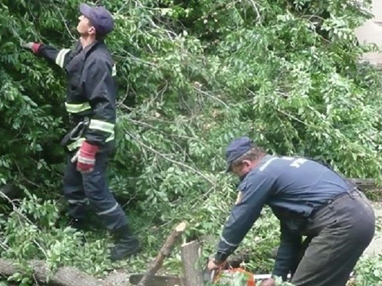 В Одессе из-за сильного ветра дерево упало на церковь (ФОТО)