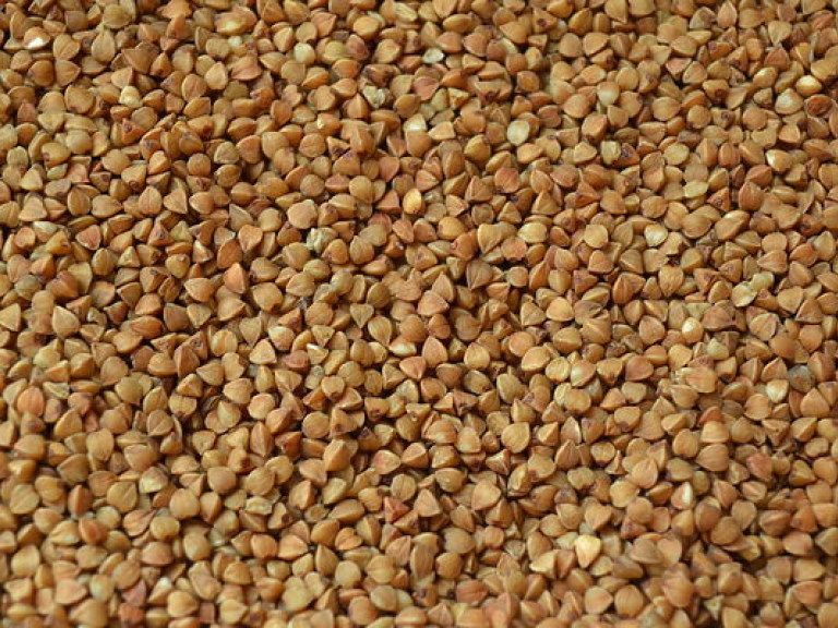 С декабря цены на гречку поползут вверх — эксперт