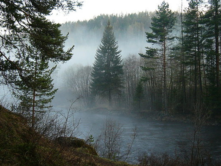 Погода на 23 октября: На севере и западе Украины заморозки, температура до +14 градусов