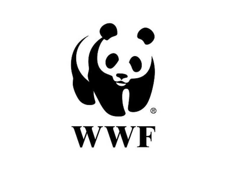 Последние 46 лет на планете стремительно вымирают животные – WWF