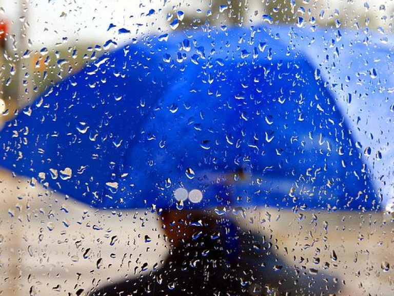 Синоптик: дожди придут на юг Украины