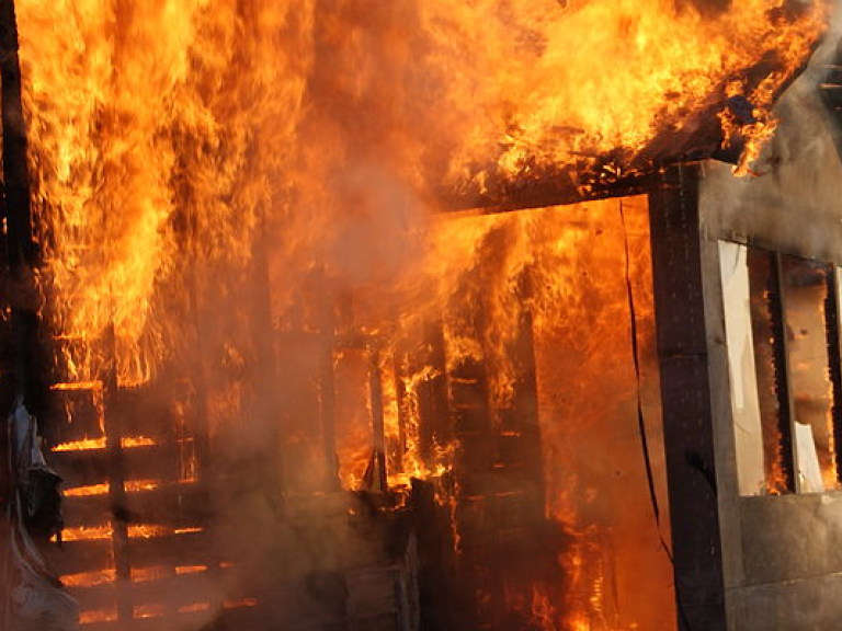 В Киевской области в результате пожара погиб человек