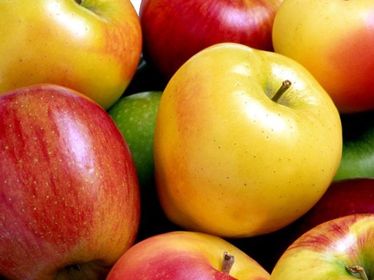 Врач: яблоки нужно выбирать по запаху, а цитрусовые – по корочке