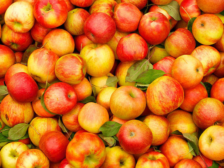 В ноябре украинцев ожидает рост цен на яблоки на 7%
