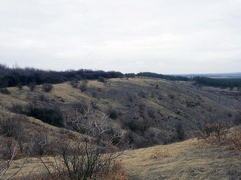 На Донбассе сгорели больше трети заповедников — экологи