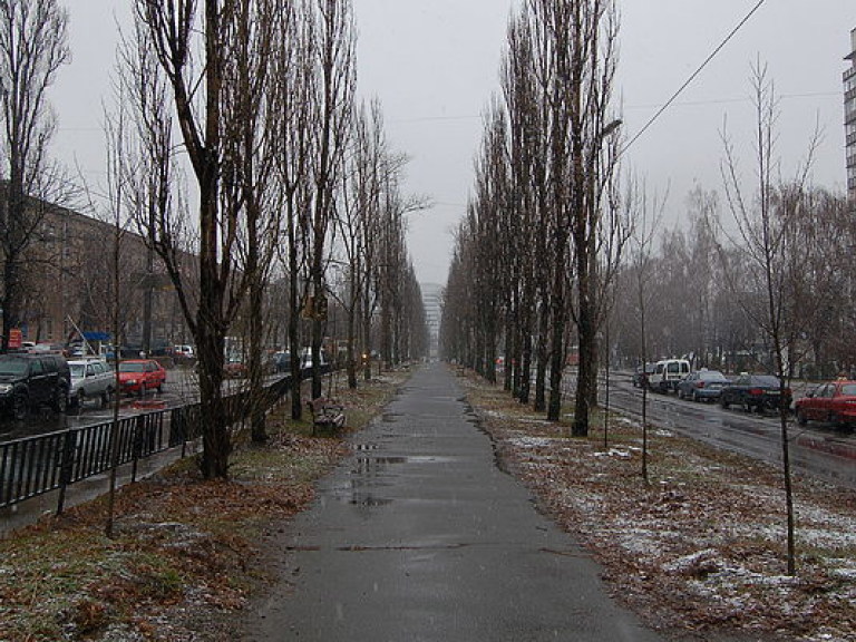 Бульвар Лепсе в Киеве переименовали в честь Вацлава Гавела