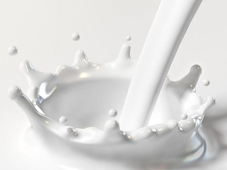 За период с января по октябрь производство молока снизилось на 2,3%