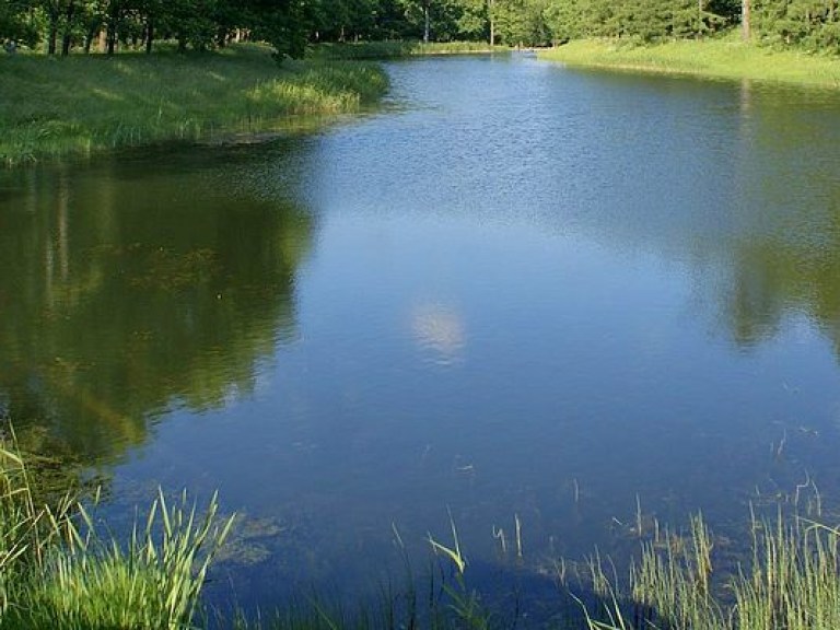 На правом берегу Днепра в Киеве практически не осталось озер – эколог
