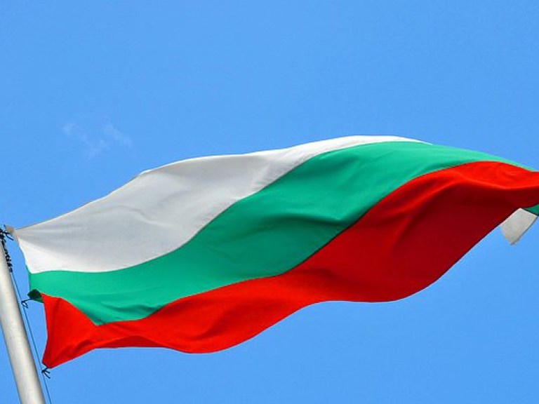 Кандидат от оппозиции Радев победил на президентских выборах в Болгарии