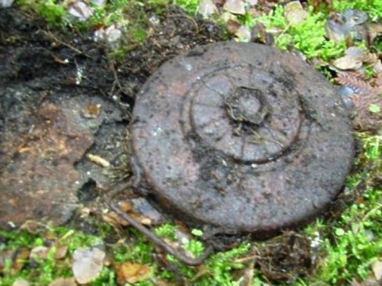 Грибник обнаружил 27 мин возле села на Днепропетровщине