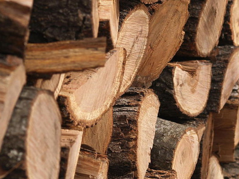 Незаконной древесины на полмиллиона гривен изъяли в Житомирской области