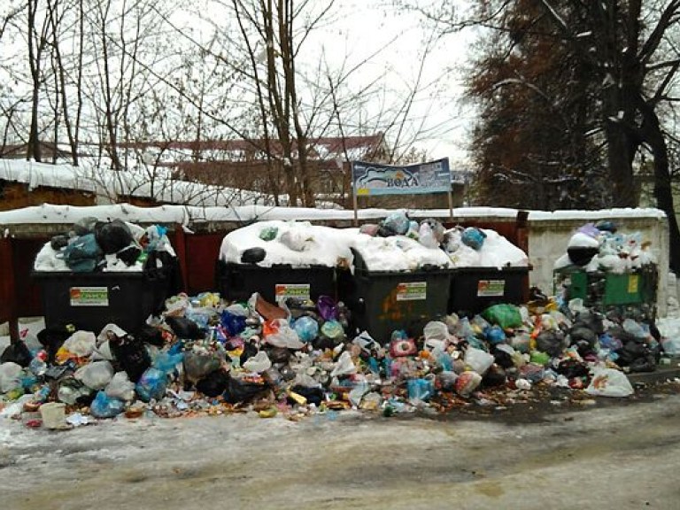 Жители Львова негодуют из-за обилия мусора в городе (ФОТО)