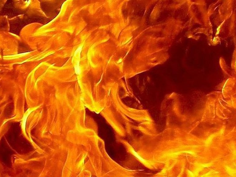 В Херсонской области сгорело кафе, в огне погибла владелица &#8212; ГСЧС