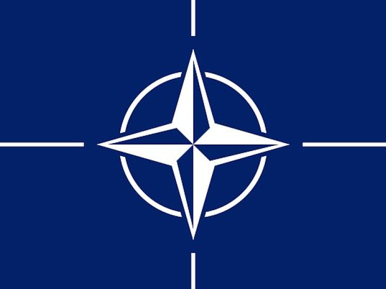 НАТО на примере Эстонии продемонстрирует Москве готовность к отражению атаки – европейский эксперт