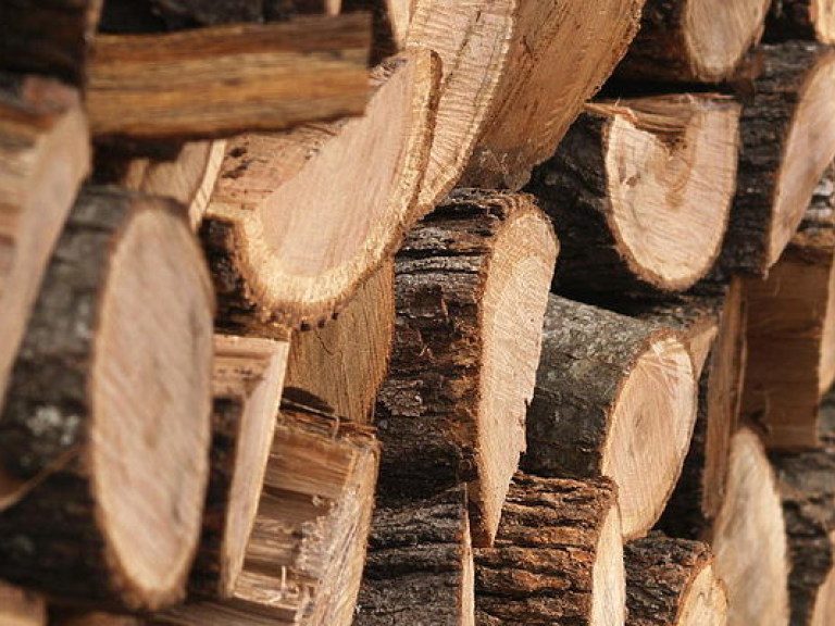 В Житомирской области разоблачена схема незаконного экспорта древесины на 2 миллиона гривен (ФОТО)