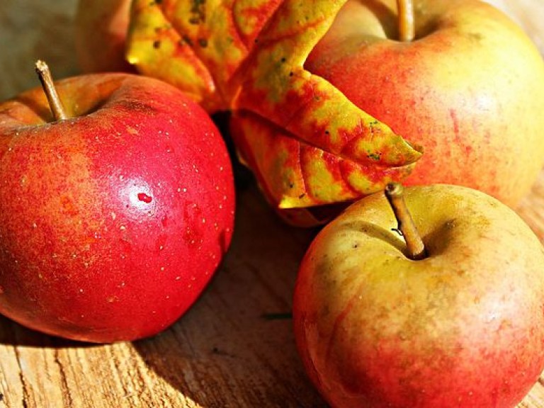 В Украине повышаются цены на яблоки