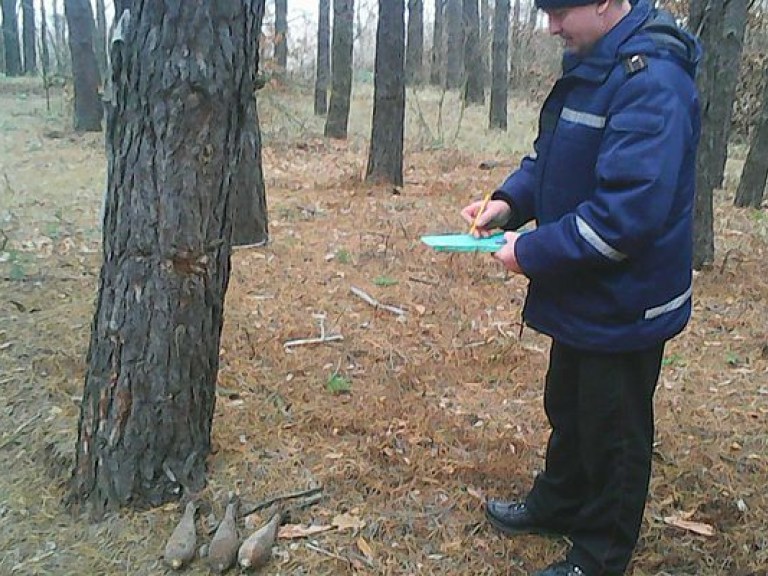 В Киевской области в поле возле Березани обнаружили боеприпасы (ФОТО)