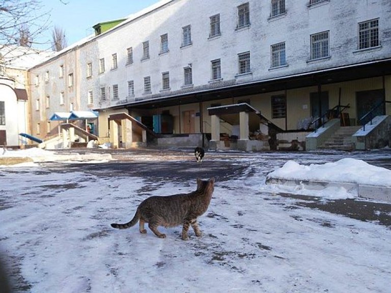 Активисты разблокировали выезд из Лукьяновского СИЗО