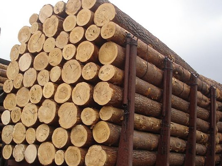 Обещая отменить мораторий на экспорт леса-кругляка, Порошенко сдает интересы Украины – политолог