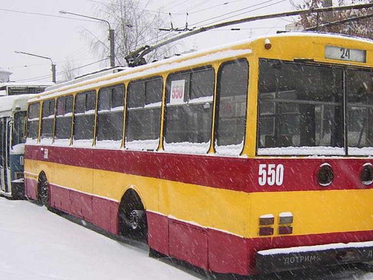 Водители троллейбусов провели митинг в Херсоне
