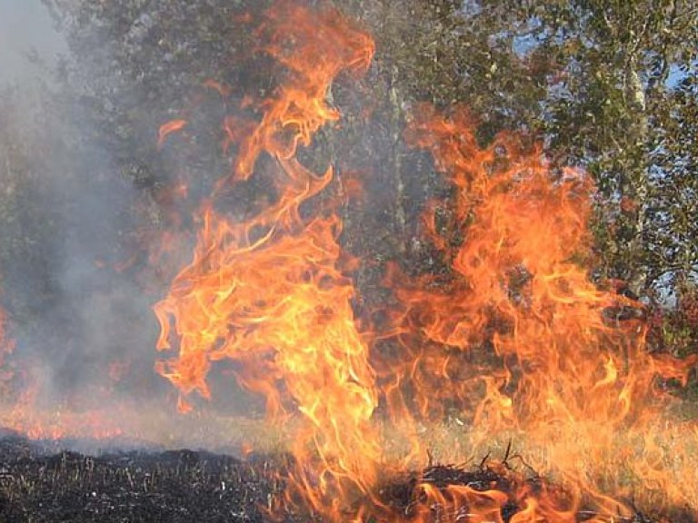 Три человека погибли в результате лесных пожаров в американском штате Теннесси