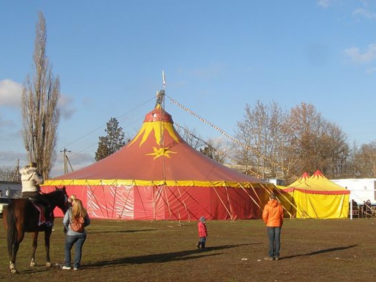 В Луцке запретили передвижные цирки