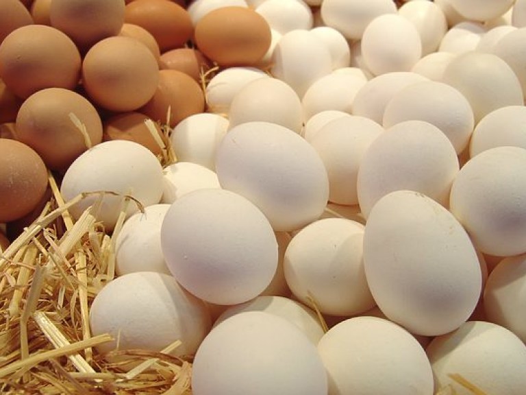Цены на яйца в Украине будут падать из-за проблем с экспортом &#8212; эксперт