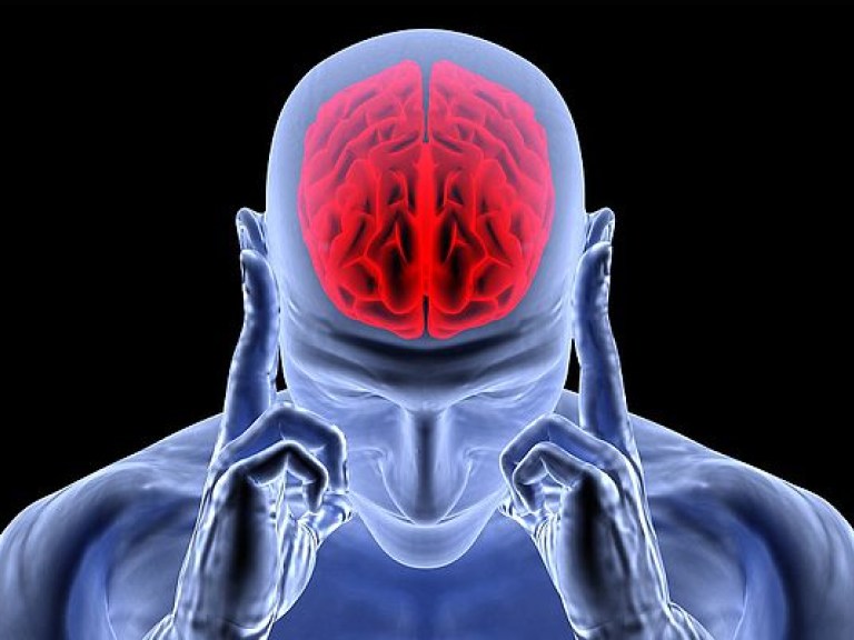 В мозге человека найден аналог кэш-памяти