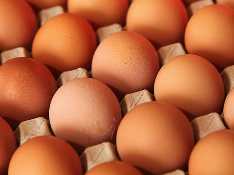 Эксперт: Тренд к повышению цены на яйца в Украине сохраняется