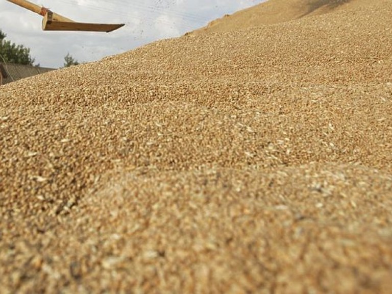 В 2016 году Украина экспортировала более 20 миллионов тонн зерна &#8212; Минагропром