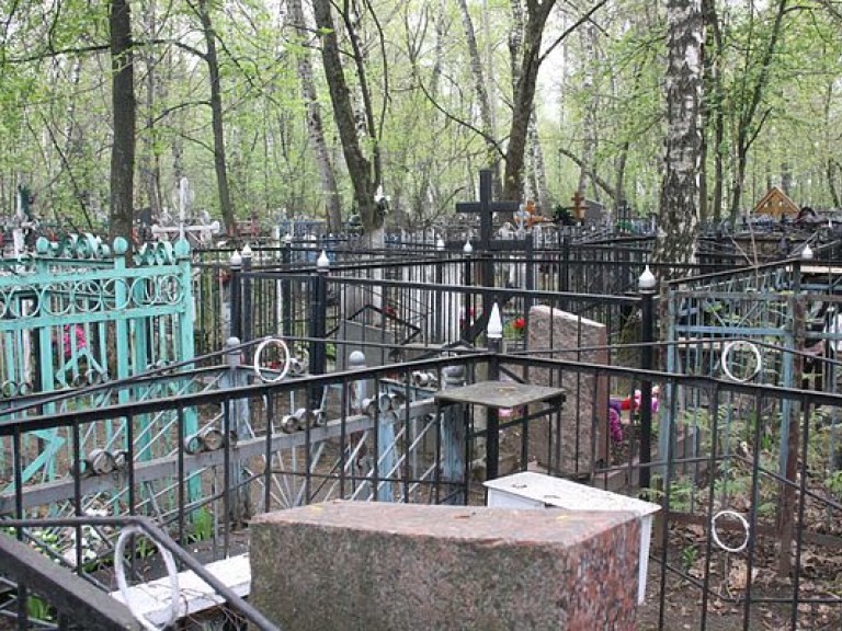 На Черниговщине похоронили ребенка, заморенного голодом в киевской квартире (ВИДЕО)