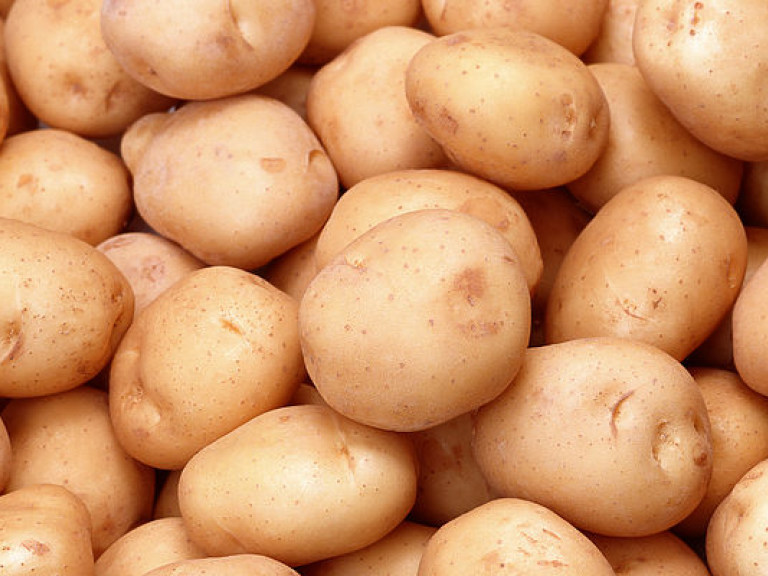 В Украине сократились запасы картофеля