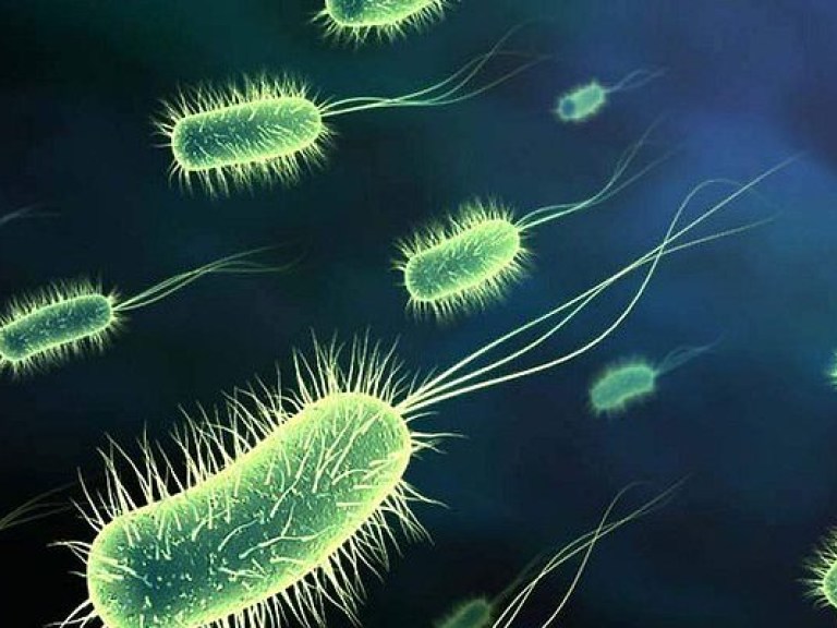 Под землей ученые нашли бактерию, устойчивую к 18 антибиотикам современного поколения