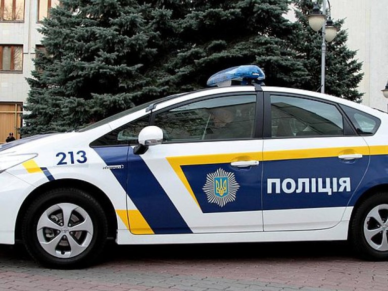 Эксперт прокомментировал создание дорожной полиции