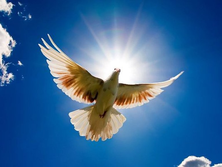 1 января — Всемирный день мира