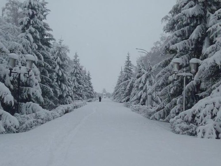 В трех областях Украины из-за снегопадов ограничили движение транспорта