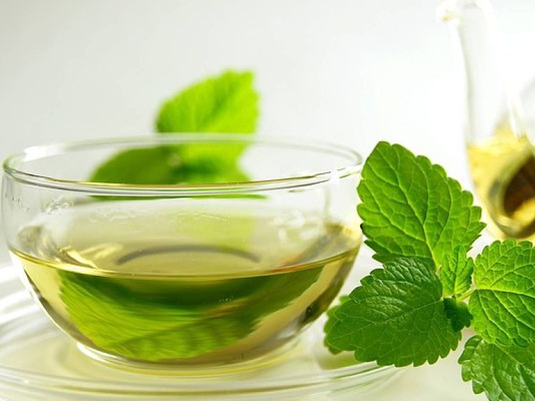 Похудеть после праздников поможет зеленый чай — диетологи