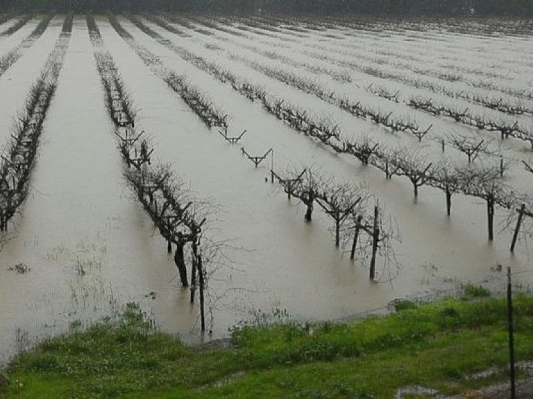 В Калифорнии тысячи людей пострадали из-за наводнения (ФОТО, ВИДЕО)